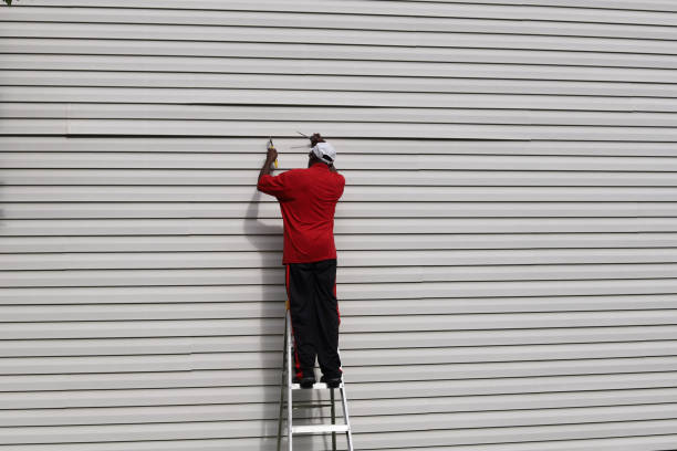 Best Historical Building Siding Restoration  in Pella, IA